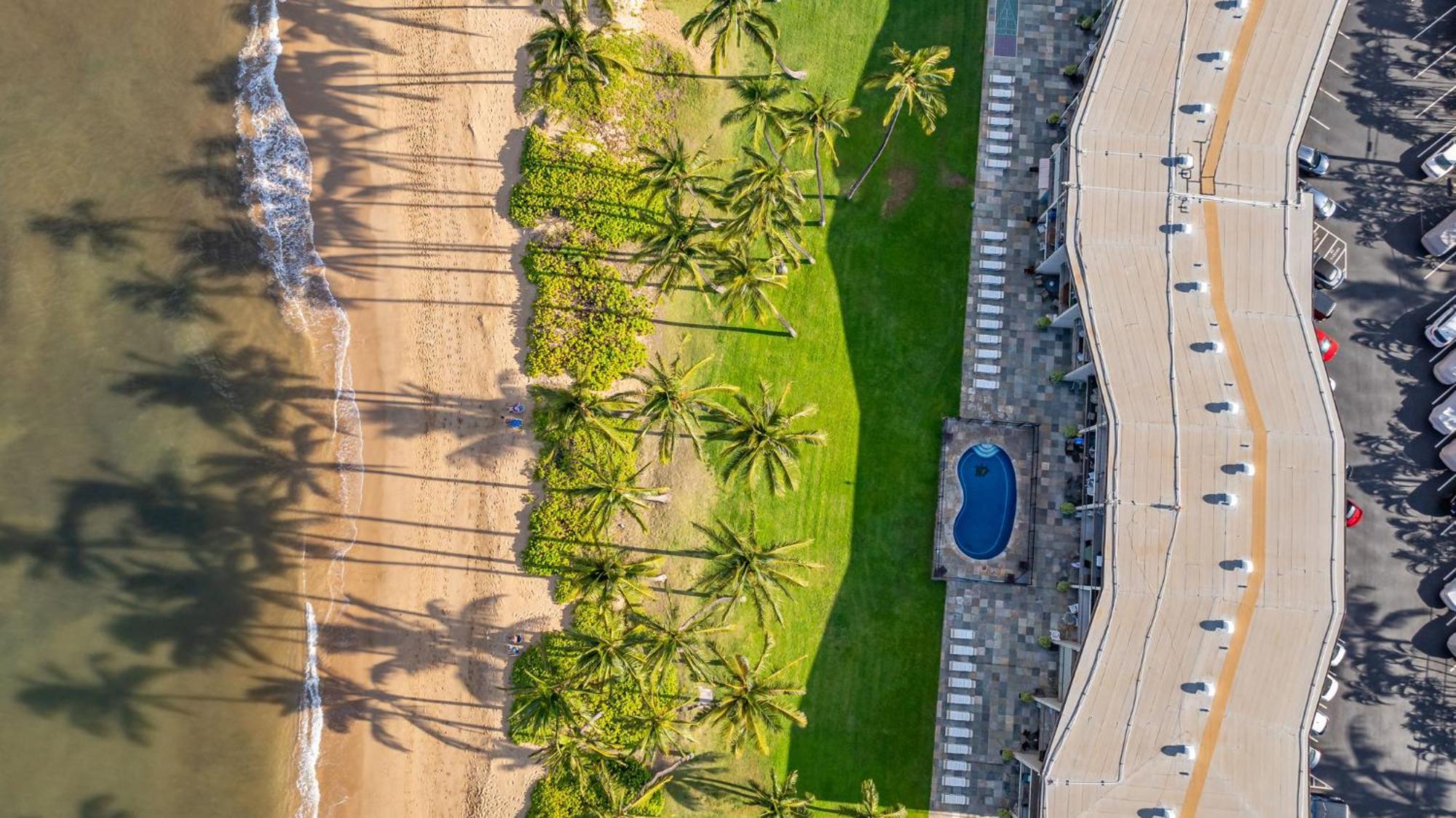 Апартаменти Hale Kai O'Kihei 317 Екстер'єр фото