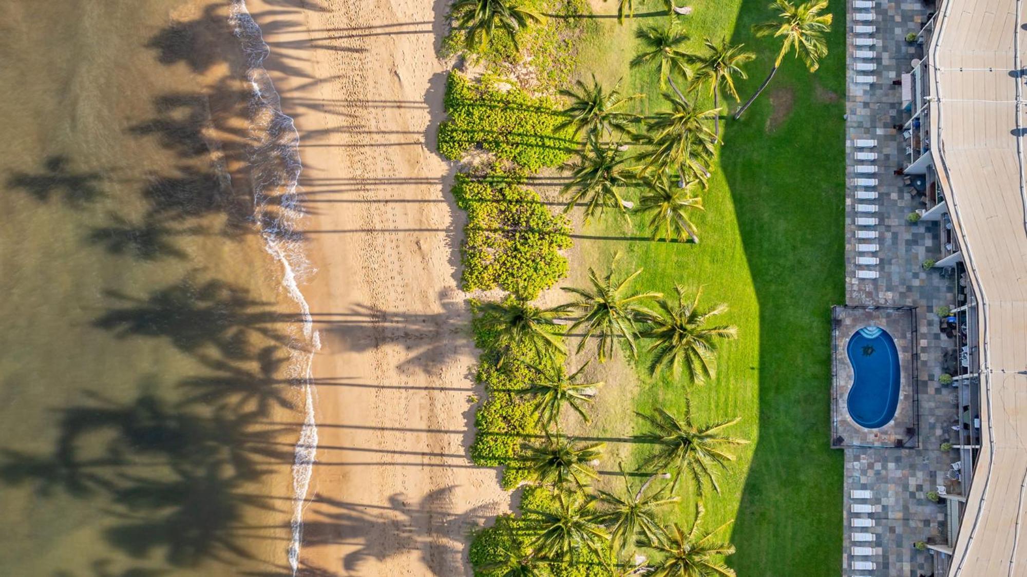 Апартаменти Hale Kai O'Kihei 317 Екстер'єр фото