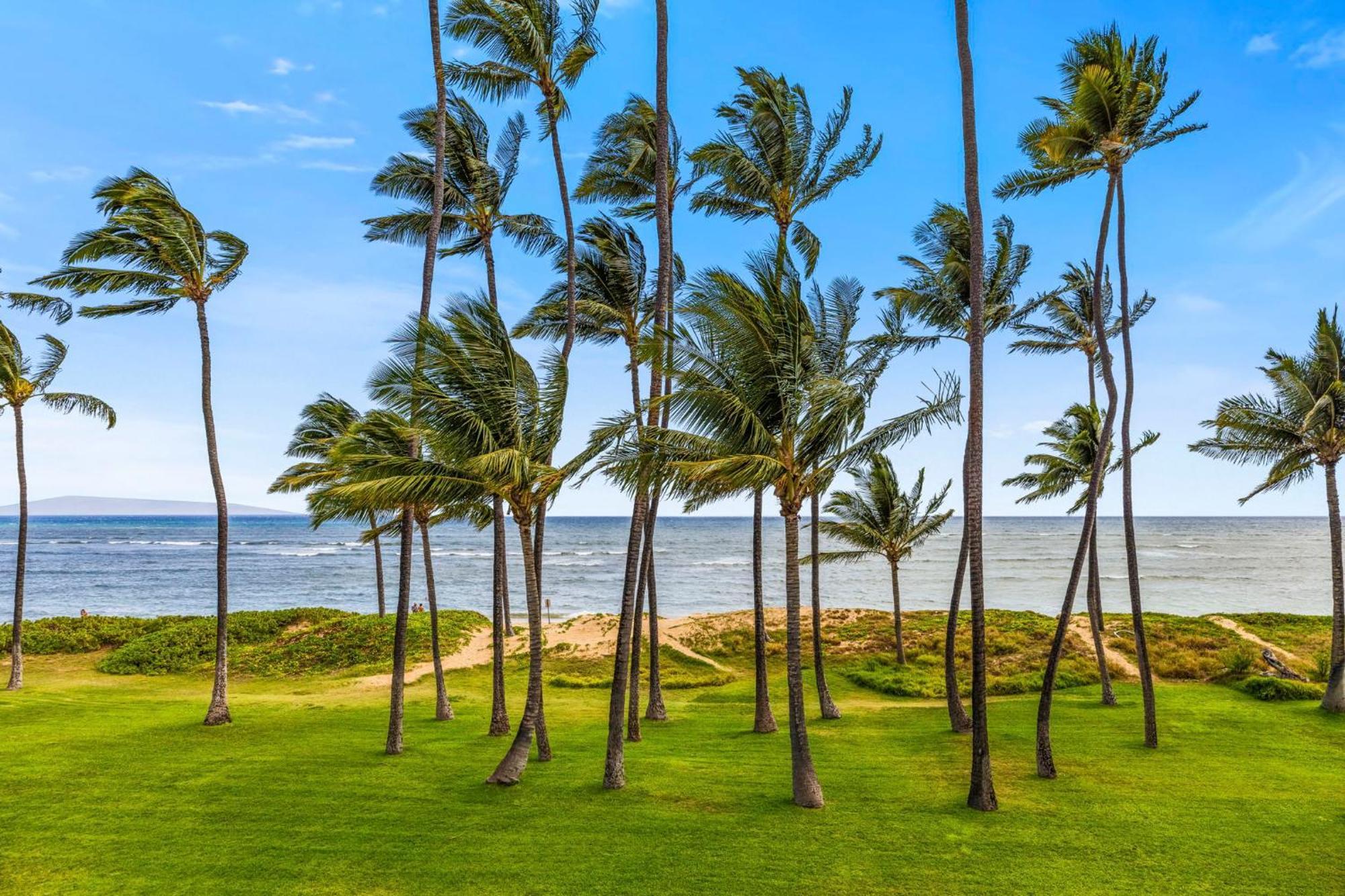 Апартаменти Hale Kai O'Kihei 317 Екстер'єр фото